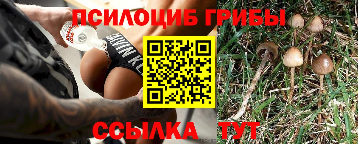 Галлюциногенные грибы прущие грибы  Вход с VPN  Ялуторовск  Галлюциногенные грибы ЛСД 