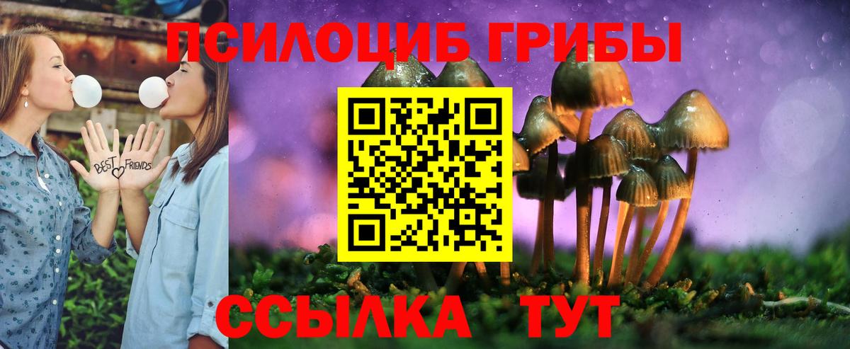 Псилоцибиновые грибы Psilocybine cubensis Ялуторовск